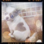 11325031_920936891307102_1404080120_a