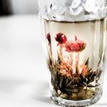 12407561_1664506887158908_1334016434_a