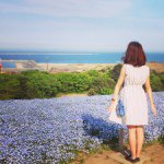 11205850_379792898889054_510787387_a