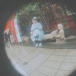 12729676_550573981784518_1255585945_a