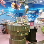 11137929_437960766362895_26578528_a