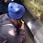 11142817_752176134897839_575739693_a