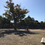 12224494_1191699404178728_1364078929_a