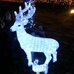 10554092_1044221388973883_1563628045_a