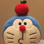 12747706_1700584076867669_586553529_a