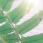 11909296_1513096328987940_1693986438_a