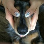 12479480_1536856826629444_1639424477_a