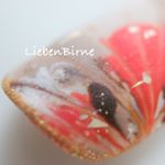 10598292_1689806767929758_1730596487_a