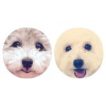 11357719_125666971100376_949229238_a