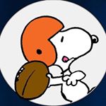 12568353_972758142793841_930324766_a