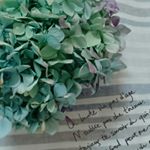 12142562_1624021587864603_1222223377_a