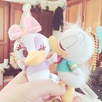 12728429_1683931645229176_354723039_a