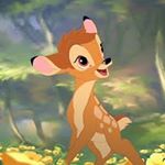 12747830_494620167391455_557438928_a