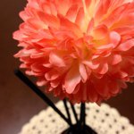 11313594_1677637842469461_23777295_a