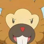 12224592_753299104776559_1534388053_a