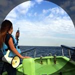 11849958_592320034243404_368144554_a