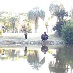 10914373_635137846592177_202719534_a