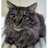 2mm31dxo_normal