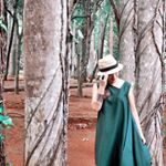 12407704_151388628564209_22805758_a