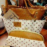 10584817_1579909392236676_1494937210_a