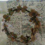 11909179_740642359414939_795397158_a