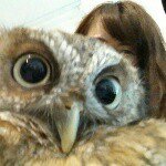 10979707_358912280962796_167244756_a