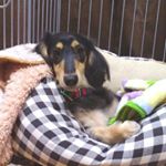 12301283_736654093135277_1297000499_a