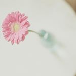 12750184_1532141347116276_1625175268_a