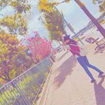 12299016_174726506211998_1204226637_a