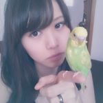 925958_1233079013384482_1735756784_a