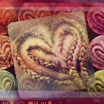 11116760_861855950554185_1744720012_a