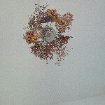 10919483_1606037759657218_32882837_a