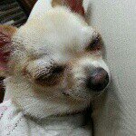 10723977_1508614749378770_1194717396_a