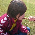 12556079_453715268151017_1490790402_a