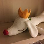 12751428_199498523743826_1604575766_a