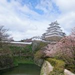 12362440_1496221180680852_1346759462_a