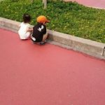 11426659_811830402248267_860537549_a