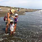 11849336_533029073514479_1954208256_a