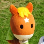 11910223_882546085156665_1724110646_a