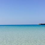 12135315_1657494021159255_60611988_a