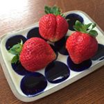 12357537_1503713579932643_160014717_a