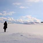 1741232_1695352260745695_211558272_a