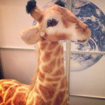 10723903_706201712805084_1697110107_a