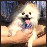 928584_311900992312984_894029622_a