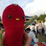 11821258_450424065127410_465986933_a