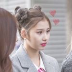 12677697_223013541381813_1811002408_a