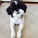 10488745_559786197459223_875720287_a