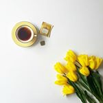 12751073_453574764836907_1432480459_a