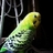 Twipple1343200055964_normal