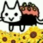 11371259_142275862778830_904500077_a